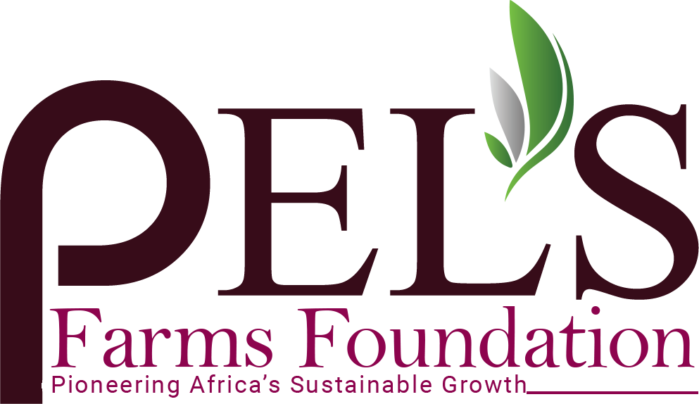 PEL Logo